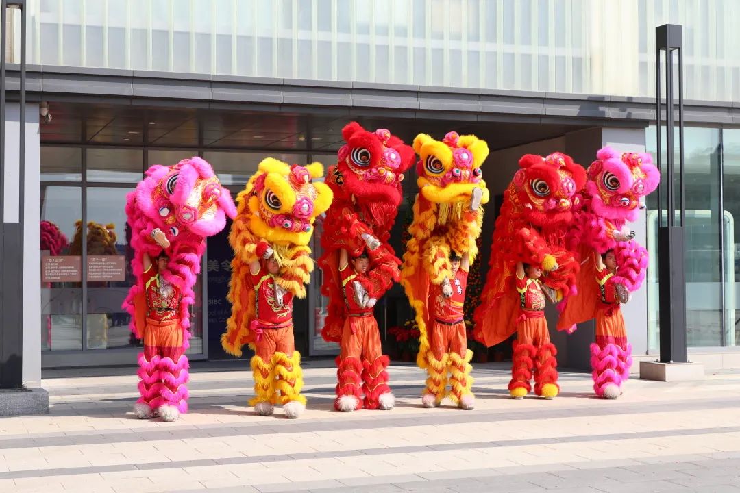 龙腾瑞气迎开学 风华正茂启新程