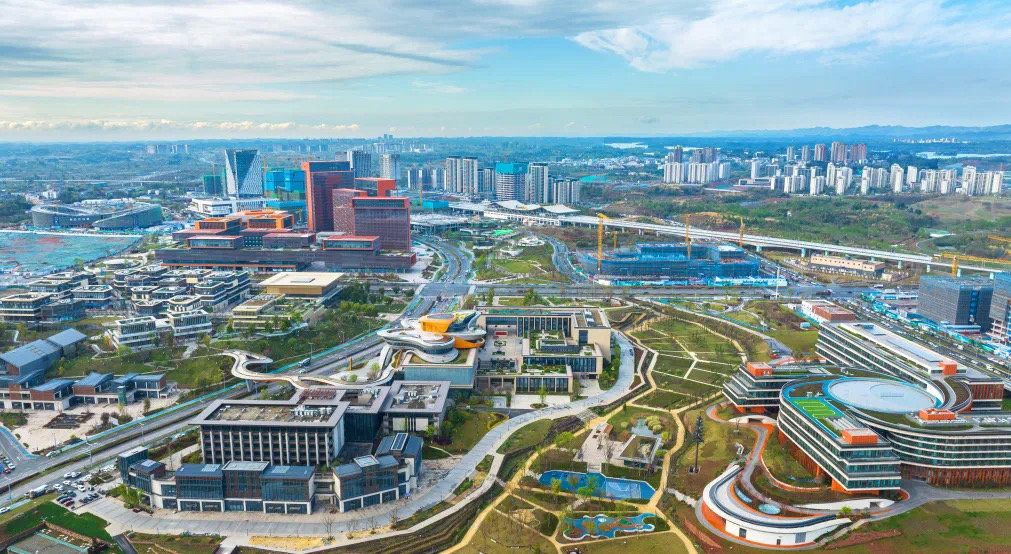 快来看——成都东部新区养马初级中学校园初冬景色美如画！