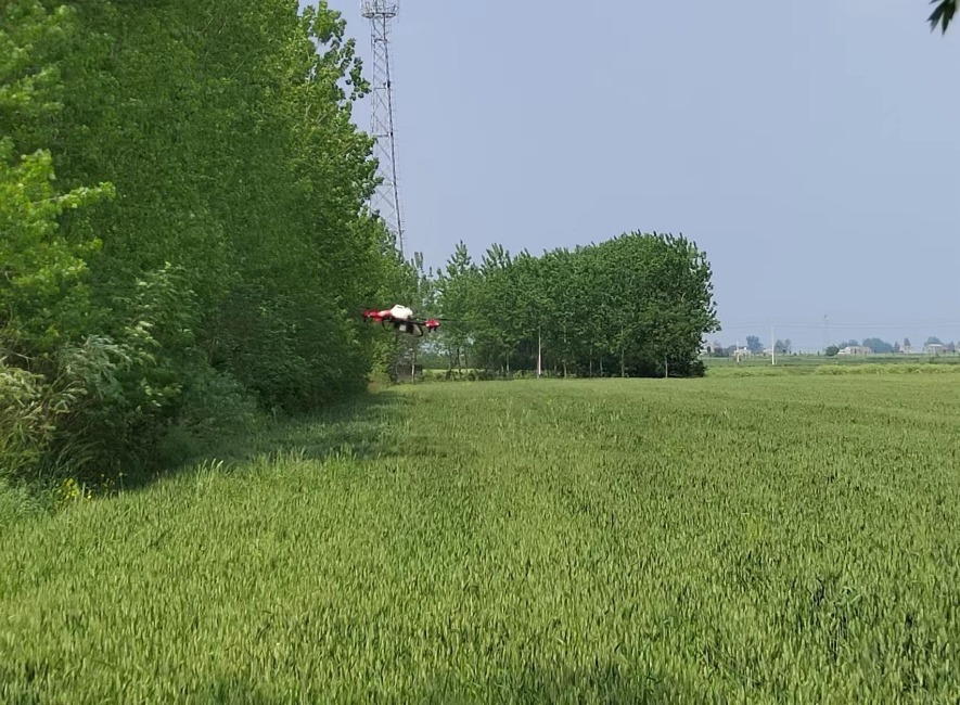 科技赋能绿色出行 引领促进和谐交通