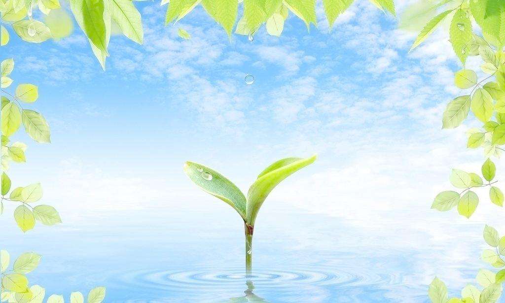 20年磨一剑 让生态环保成为人类健康福祉