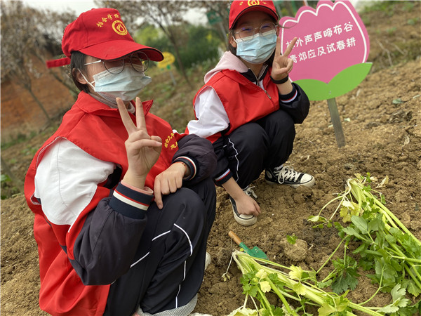 桂溪街道和平社区开展3·12植树节植绿护绿志愿者活动