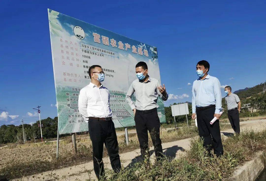 八校联盟同发展 组团帮扶促振兴