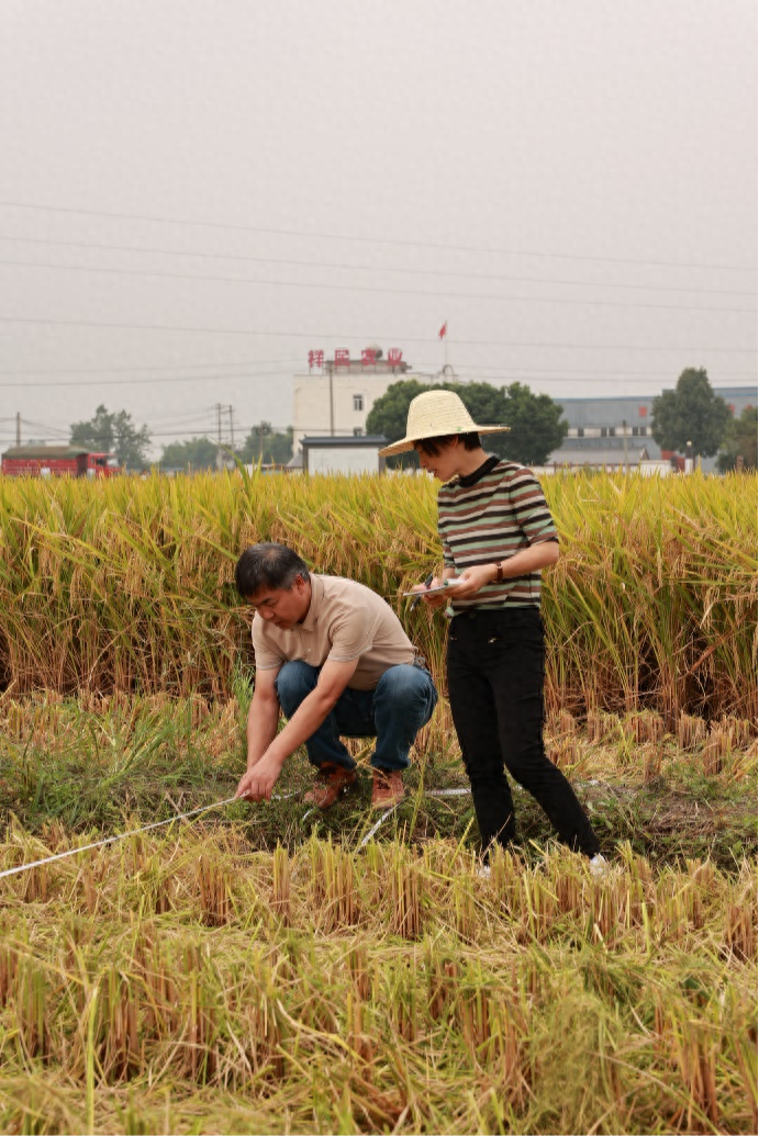 抓紧抓牢粮食生产 打造更高水平“天府粮仓”成都片区