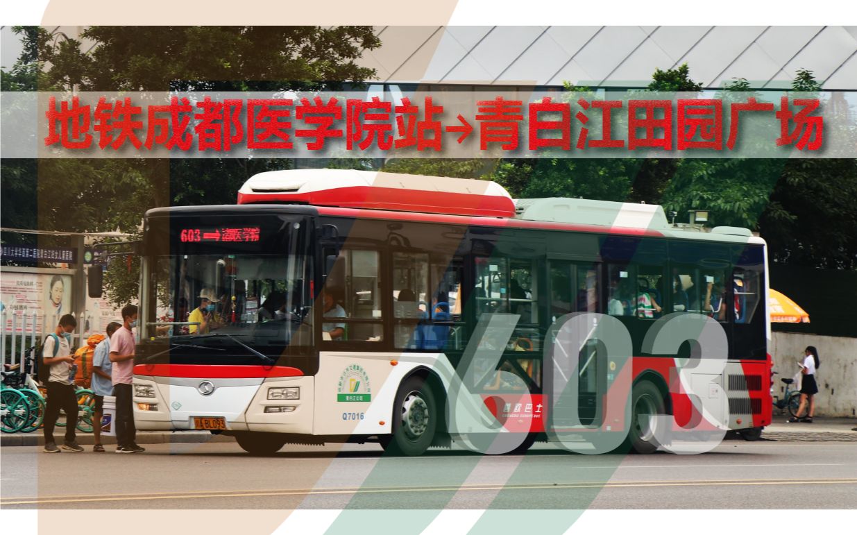 成都：青白江与九龙全域结对，“三扶”暖民生