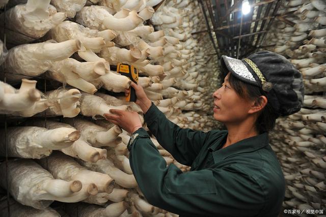 通用医疗成飞医院组织定点帮扶村村组干部、致富带头人外出参观考察培训
