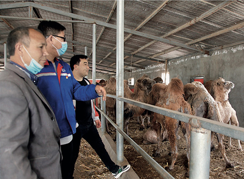 通用医疗成飞医院组织定点帮扶村村组干部、致富带头人外出参观考察培训