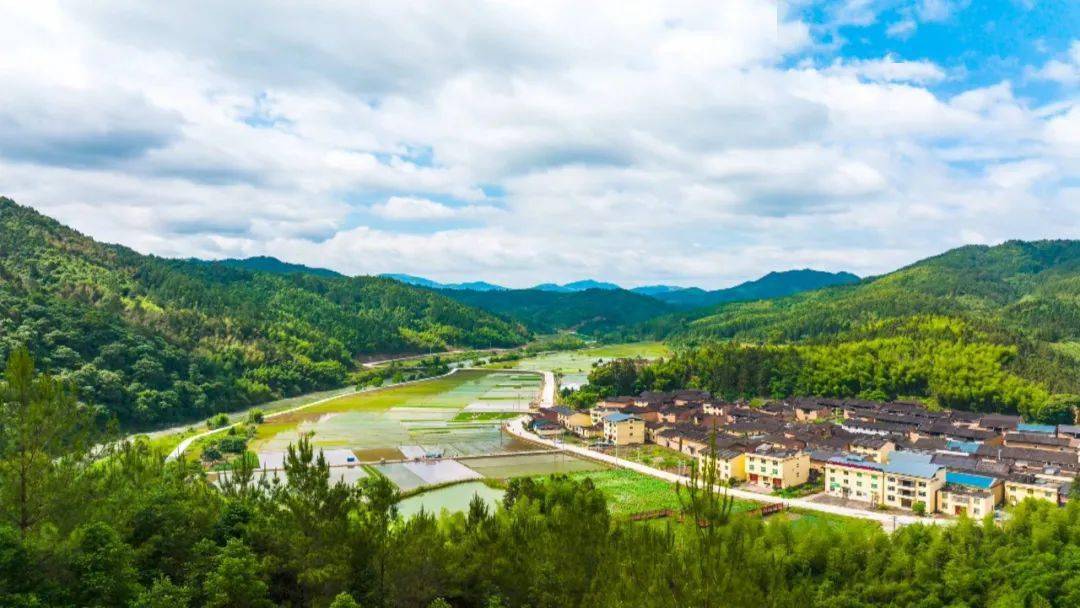 内江市水口寺村：抓好党建引领 促进产业发展