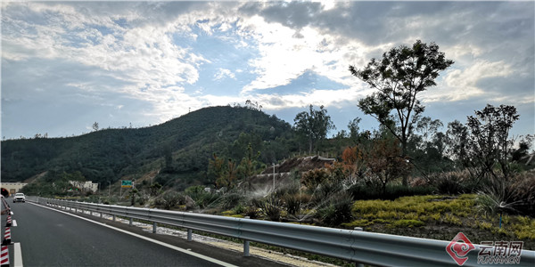 云南：玉楚高速公路建成通车 “滇中绿海明珠”绽放异彩