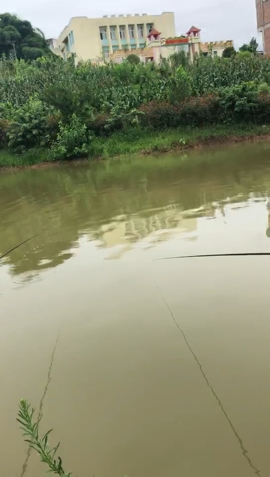 四川省第二届老年文化艺术节钓鱼比赛：演绎蜀适养老的安逸篇章
