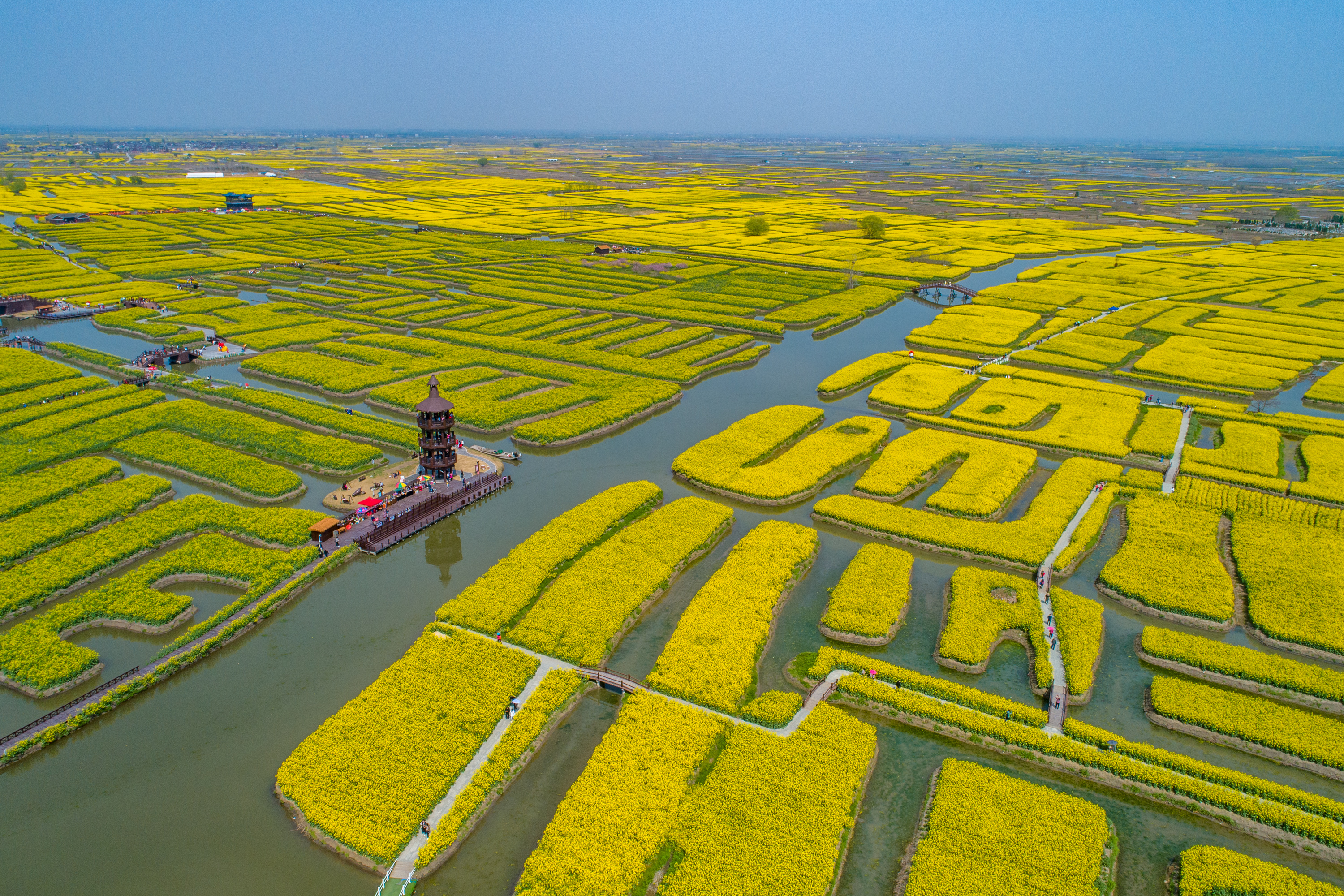 王雪：扎根西部基层 以交通之智绘文化之韵