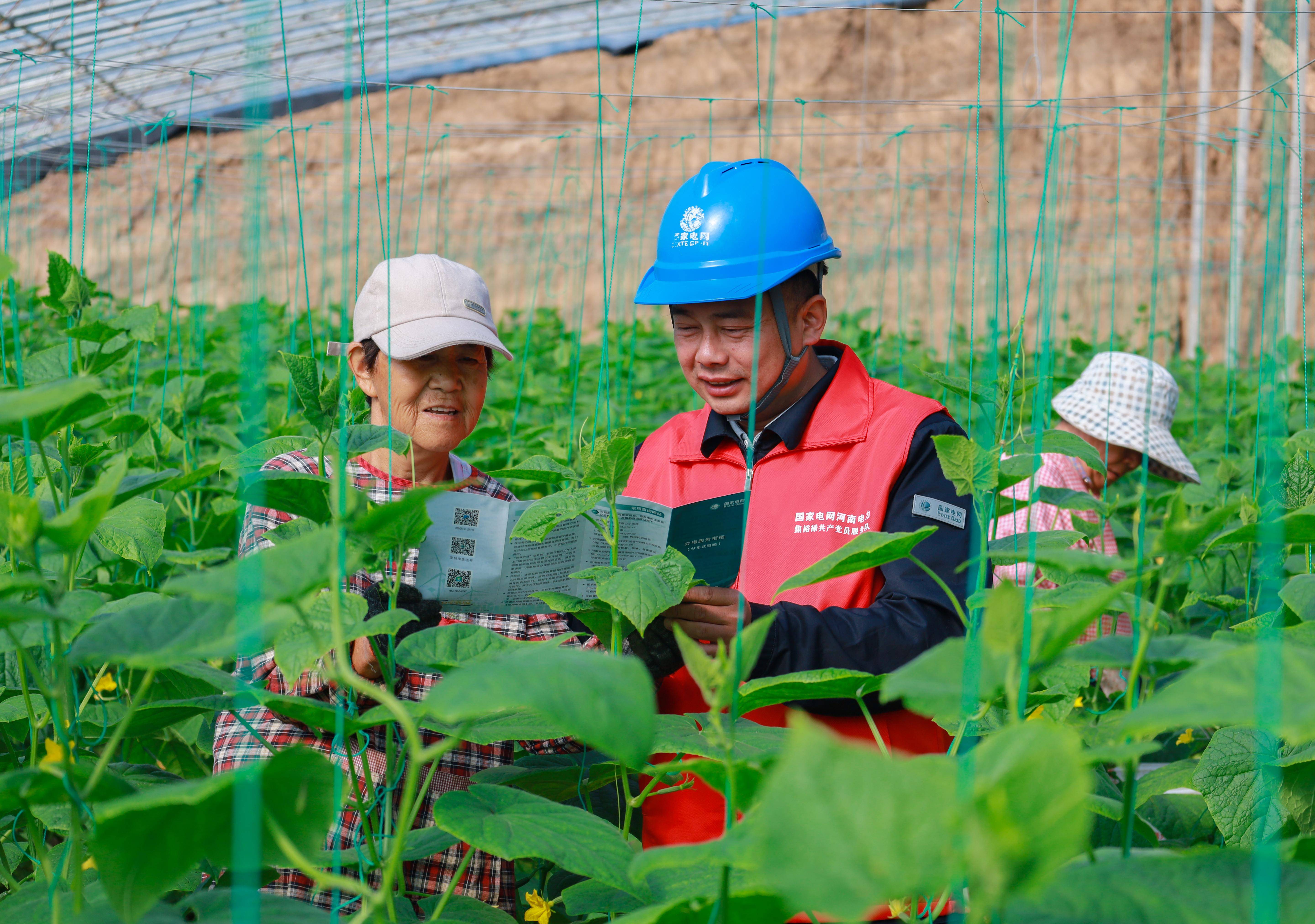 城乡结对共建 助力乡村振兴